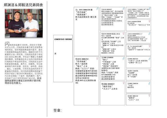 加起来身价过千万的公棚神鸟，你知道几个？