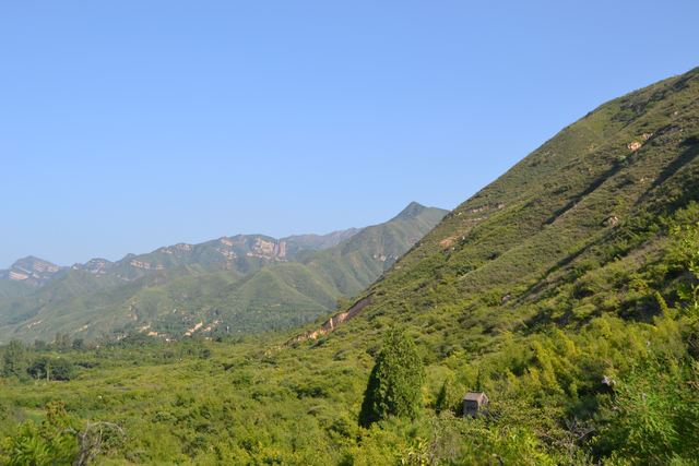 永济吴阎麻坪，高山之上进行养殖，村民收获颇丰