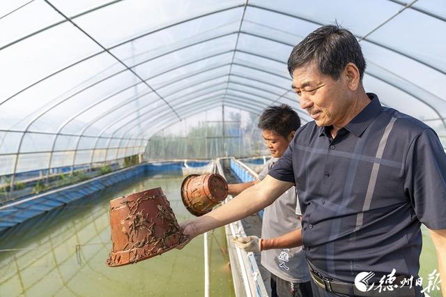 “软黄金”敲开致富门