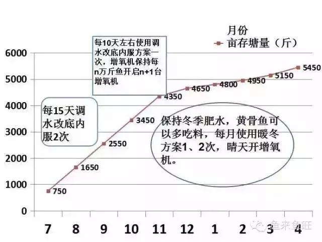 看高手如何养殖黄颡鱼：三步解决黄颡鱼养殖溶氧问题