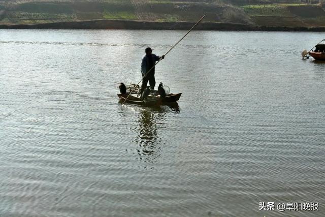 阜阳首次！全面完成，持续4个月