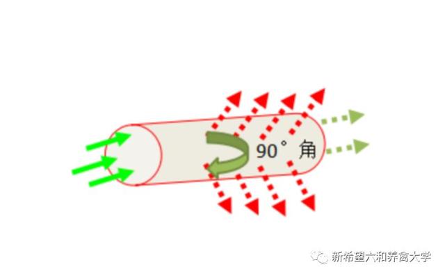 肉鸡舍通风管安装的几点建议