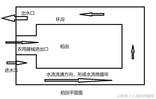 小龙虾养殖红火，想赚钱，稻虾池塘选址及设计图方案大全请带走！