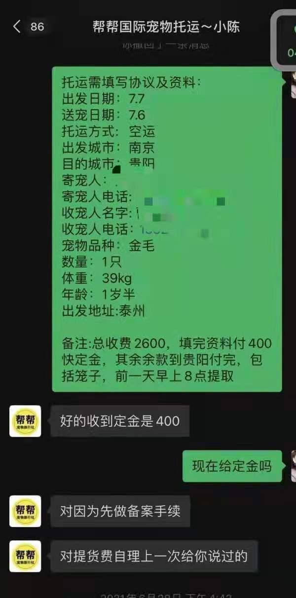 金毛犬之死背后的宠物托运乱象：空运改陆运，违规“代办”检疫证