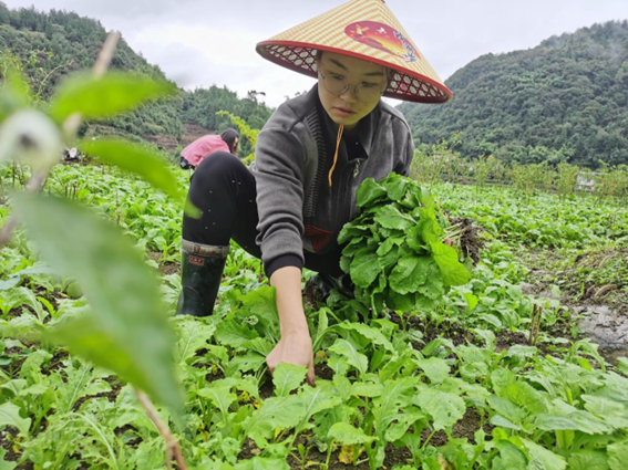 沙塘村第一书记杜富佳：扎根乡村带货，让家乡农特产被更多人熟知