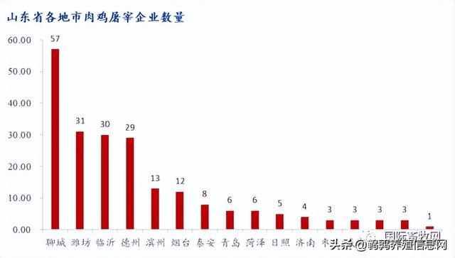 山东全省肉鸡屠宰企业名单汇总及各地级市肉鸡产业分布简析