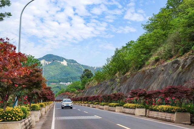 五宝：都市“桃花源”乡村新盛景