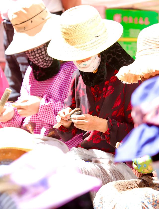 中国最大的冬虫夏草市场—西宁玖鹰虫草市场