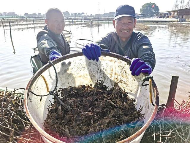 黑龙江省河蟹常规养殖技术