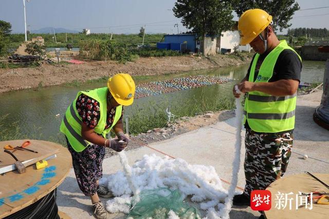 连云港赣榆：养殖尾水治理项目稳步推进， 助力水环境持续改善