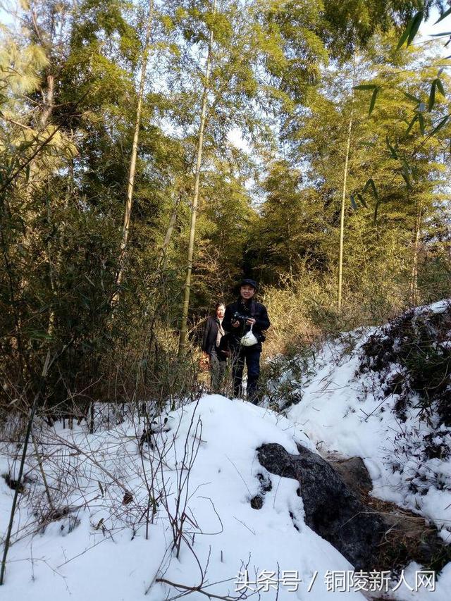 「铜陵视角」踏雪寻春 徒步“云崖寺”