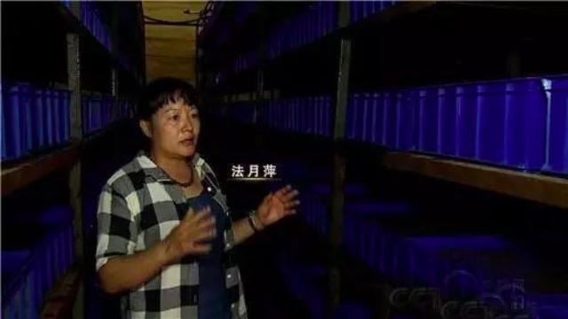 女博士放弃200万年薪，跑到农村去养它！图啥？