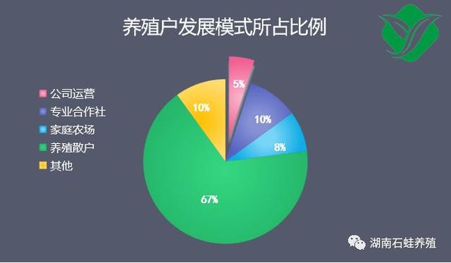 石蛙生态养殖现状及趋势