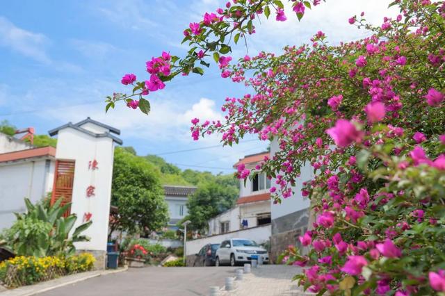 五宝：都市“桃花源”乡村新盛景