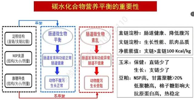 【听课笔记】陈代文教授：生猪高效养殖3F系统营养技术