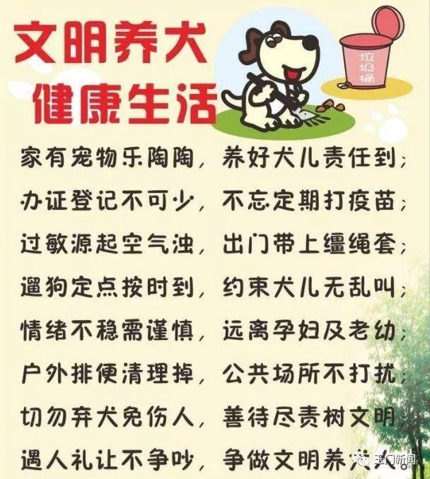 玉门市出台《养犬管理办法》！养狗的你要注意了……