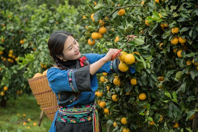 “湘村老家 最忆怀化”怀化发布十大特色乡村“微度假”旅游产品