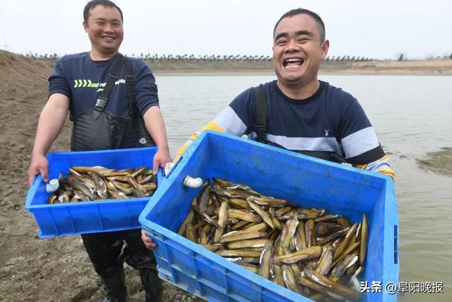 阜阳首次！全面完成，持续4个月