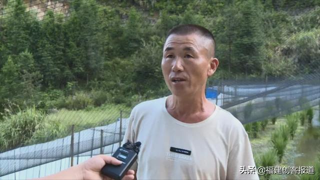 浦城县：返乡创业养黑斑蛙，带领村民共同致富