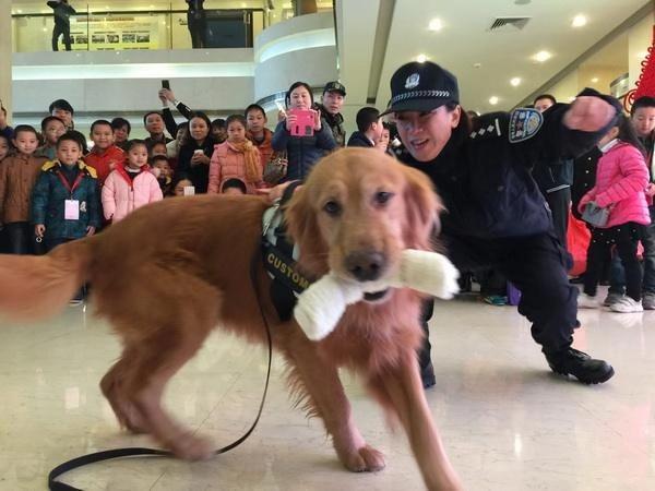 说说小牲口们之一