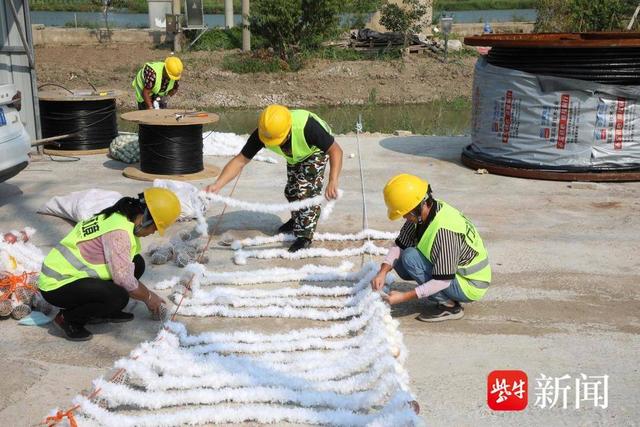 连云港赣榆：养殖尾水治理项目稳步推进， 助力水环境持续改善