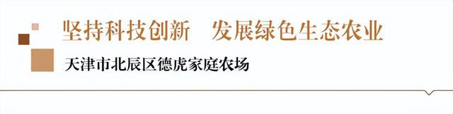 坚持科技创新 发展绿色生态农业——天津市北辰区德虎家庭农场