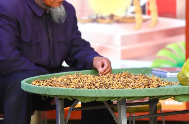 中国最大的冬虫夏草市场—西宁玖鹰虫草市场