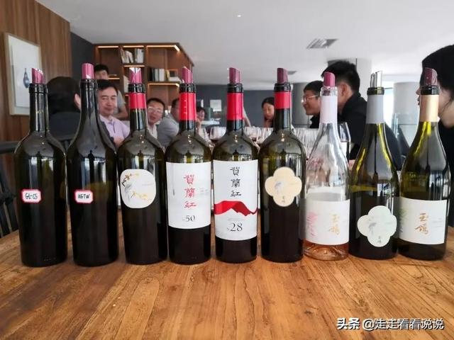 走进宁夏贺兰山东麓最大的酒庄：西鸽酒庄