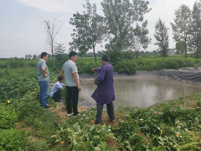 唐河县上屯镇：夯实乡村振兴之基，决战决胜脱贫攻坚