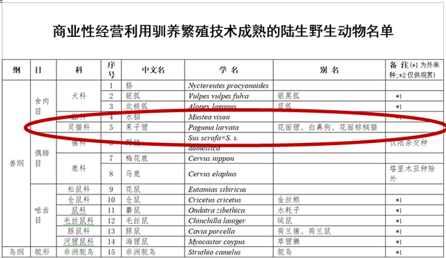 疫情过后还要养殖果子狸？江西省野保局：不属实，相关政策有待国家进一步明确