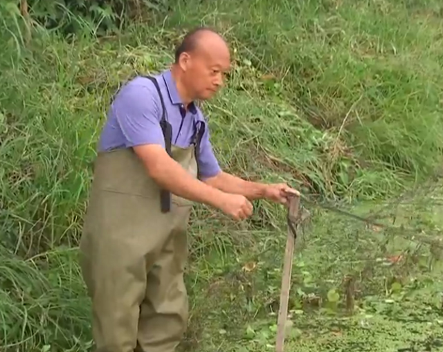 农村大叔用两万块养龟鳖，两年后绝地翻身，靠卖甲鱼年赚千万