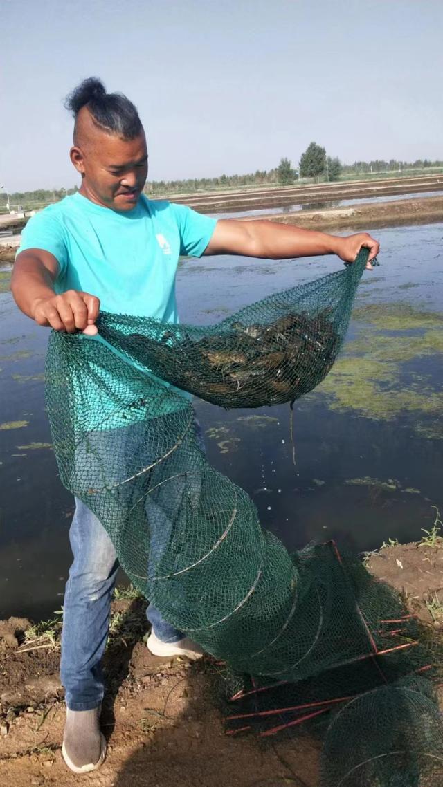 新疆海鲜火爆出圈，“海鲜陆养”仍任重道远！专家：海水和河口养殖难被轻易替代