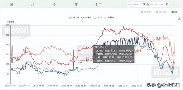 8大上市禽企2022年成绩单出炉！今年一季度画风突转：三大黄鸡巨头亏损近32亿，白鸡鸡苗销售迎来暴涨