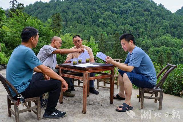 咸丰：土鸡认养唤醒“休眠”合作社