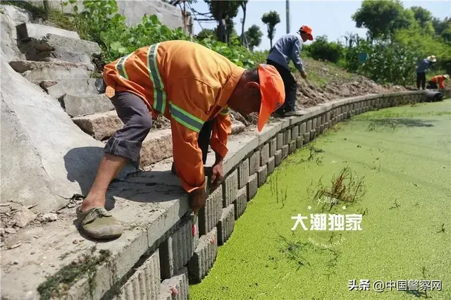 这种东西别误食！寄生虫多达6000条，严重可致死！