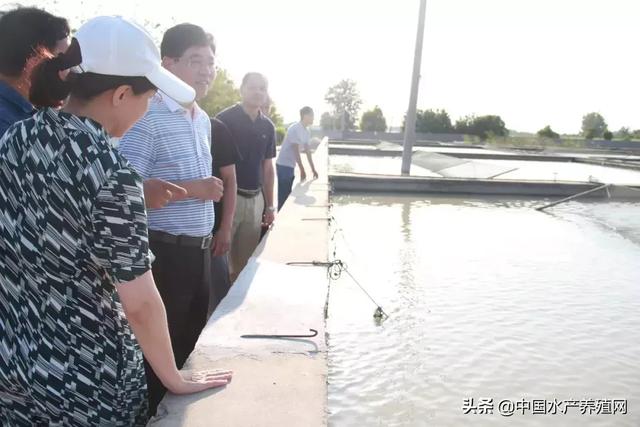 特种水产业乘“一带一路”东风，走出去、引进来有机结合，近200位专家学者齐聚安徽蚌埠交流产业新动向