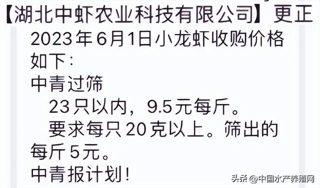 小龙虾喜提3连涨！对虾却一泻千里，江苏30条跌破20元