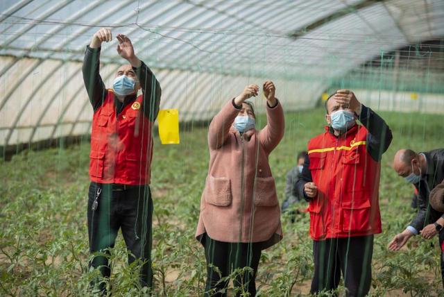 新疆洛浦：科普志愿者助农备耕忙