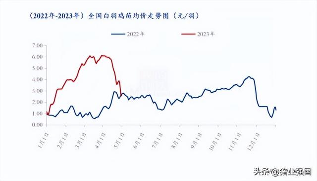 8大上市禽企2022年成绩单出炉！今年一季度画风突转：三大黄鸡巨头亏损近32亿，白鸡鸡苗销售迎来暴涨