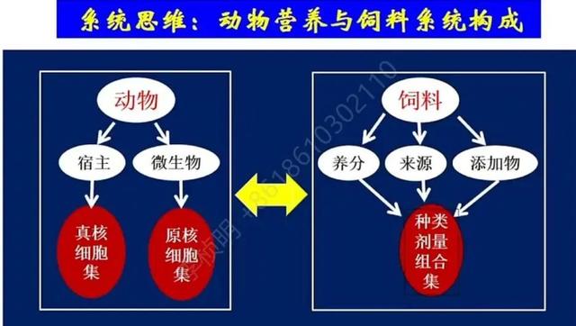 【听课笔记】陈代文教授：生猪高效养殖3F系统营养技术