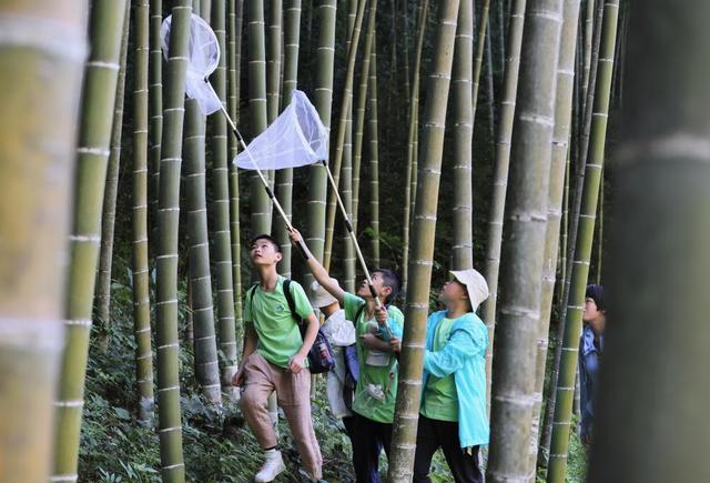 探秘国家公园丨武夷山国家公园：“神奇动物”的十二时辰