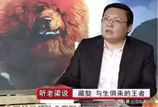 曾经4000万一只，如今白送没人要！十年最大泡沫，无数人血本无归