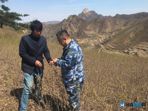 秦皇岛快报：改变管理方式，学习种植技术