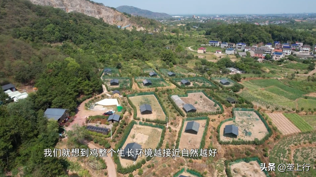 给鸡戴“眼镜”建花园，乡村青年抱团闯出“雉”富路