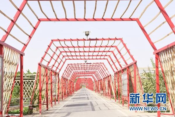 续写丝路新篇章丨历经2200年沧桑，这座古城正在崛起