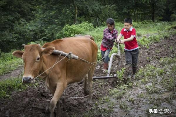 宋朝有10万匹马为何还严重缺乏骑兵？1206年6月14日南宋出兵伐金