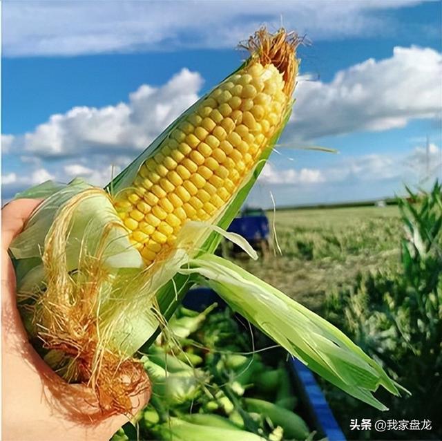 昆明野鸭湖生态科普研学基地9月亮相，让我们一起探秘自然吧！