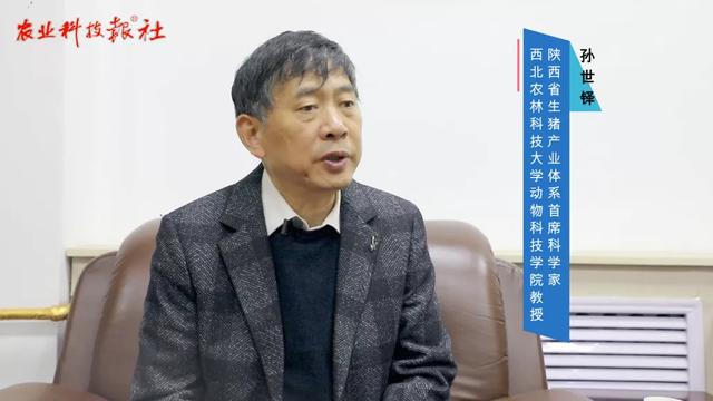 “猪周期”频发何以破局？控制能繁母猪存栏量是关键