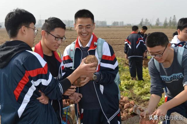 做小农场主 享农耕之乐｜“驴聪聪”亲子农场，打造菏泽农耕文化新名片