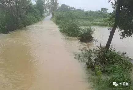 水产养殖遇到暴雨雷阵雨，缺氧浮头，水质恶化该如何应对